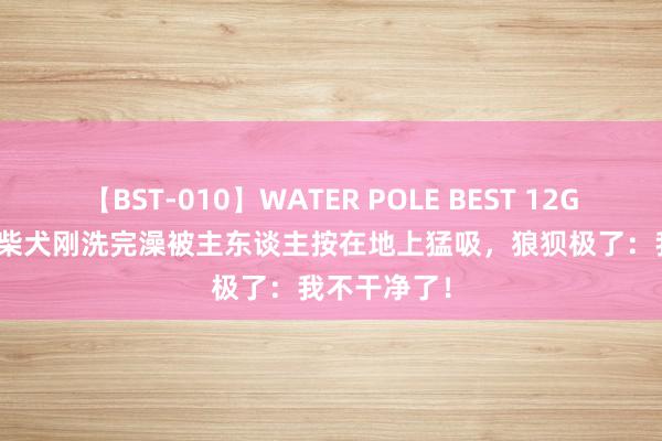 【BST-010】WATER POLE BEST 12GALs 8時間 柴犬刚洗完澡被主东谈主按在地上猛吸，狼狈极了：我不干净了！