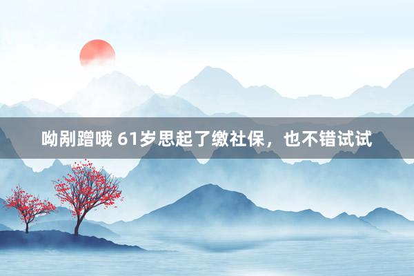 呦剐蹭哦 61岁思起了缴社保，也不错试试