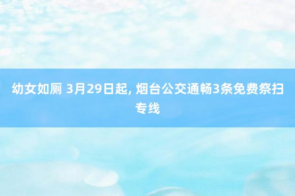 幼女如厕 3月29日起, 烟台公交通畅3条免费祭扫专线