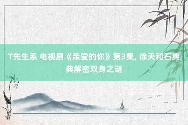 T先生系 电视剧《亲爱的你》第3集, 徐天和石典典解密双身之谜